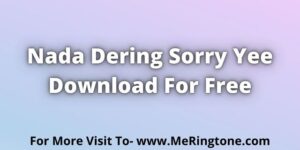 Read more about the article Nada Dering Sorry Yee Download For Free