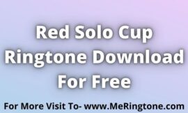 Red Solo Cup Ringtone Download For Free