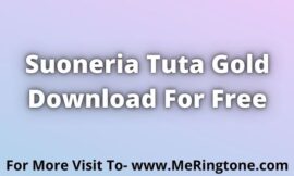 Suoneria Tuta Gold Download For Free