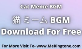 猫 ミーム BGM Download For Free