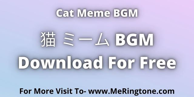 Read more about the article 猫 ミーム BGM Download For Free