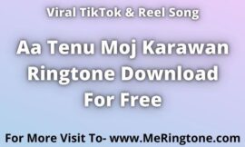 Aa Tenu Moj Karawan Ringtone Download For Free