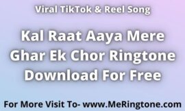 Kal Raat Aaya Mere Ghar Ek Chor Ringtone Download For Free