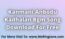 Kanmani Anbodu Kadhalan Bgm Download For Free