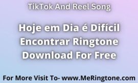 Hoje em Dia é Difícil Encontrar Ringtone Download For Free